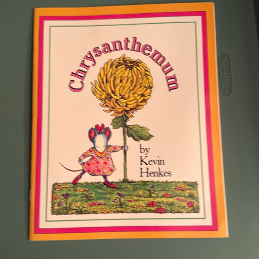 Chrysanthemum