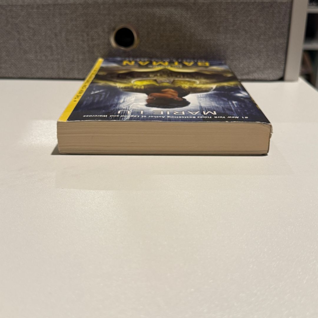 *Sprayed Edges* Batman: Nightwalker