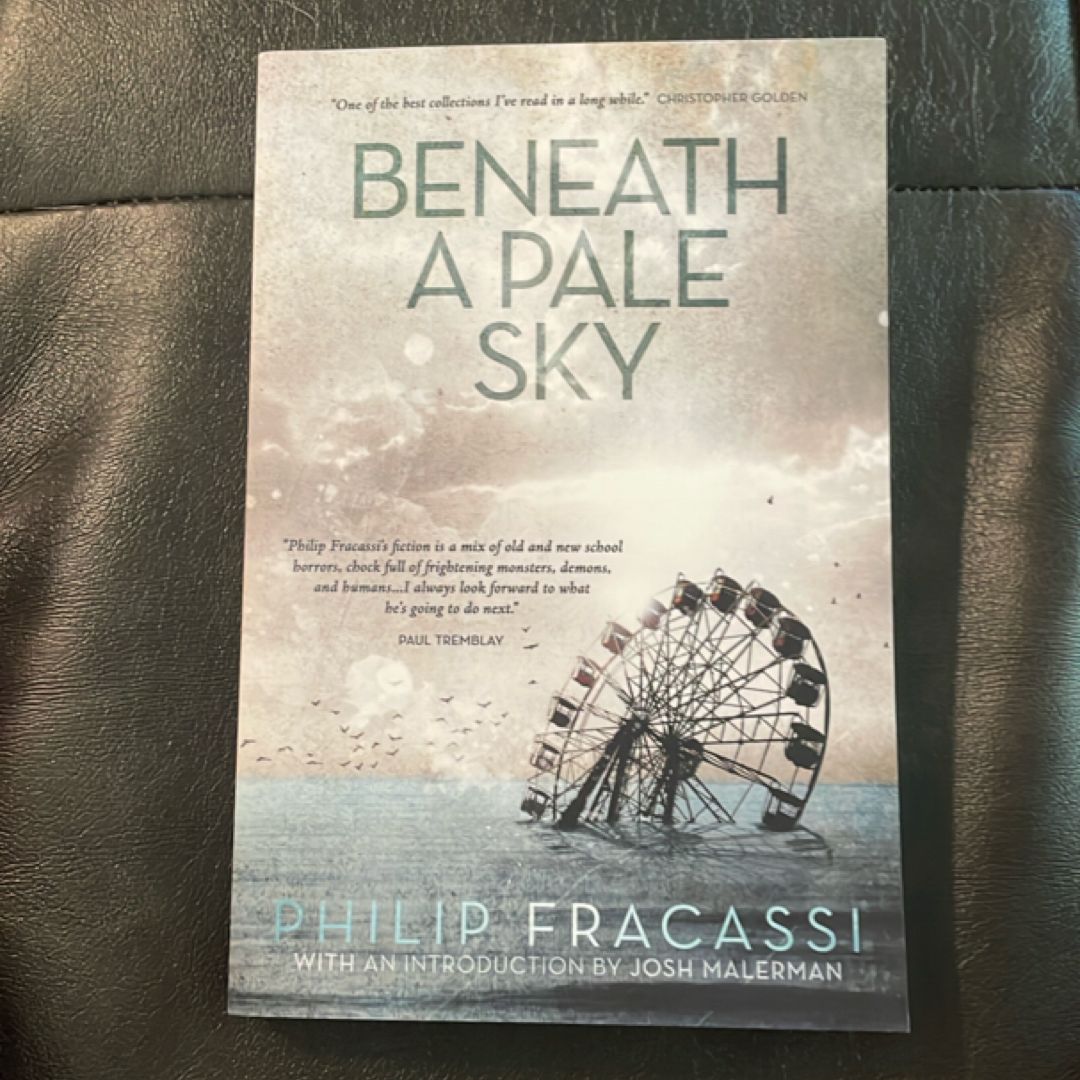 Beneath a Pale Sky
