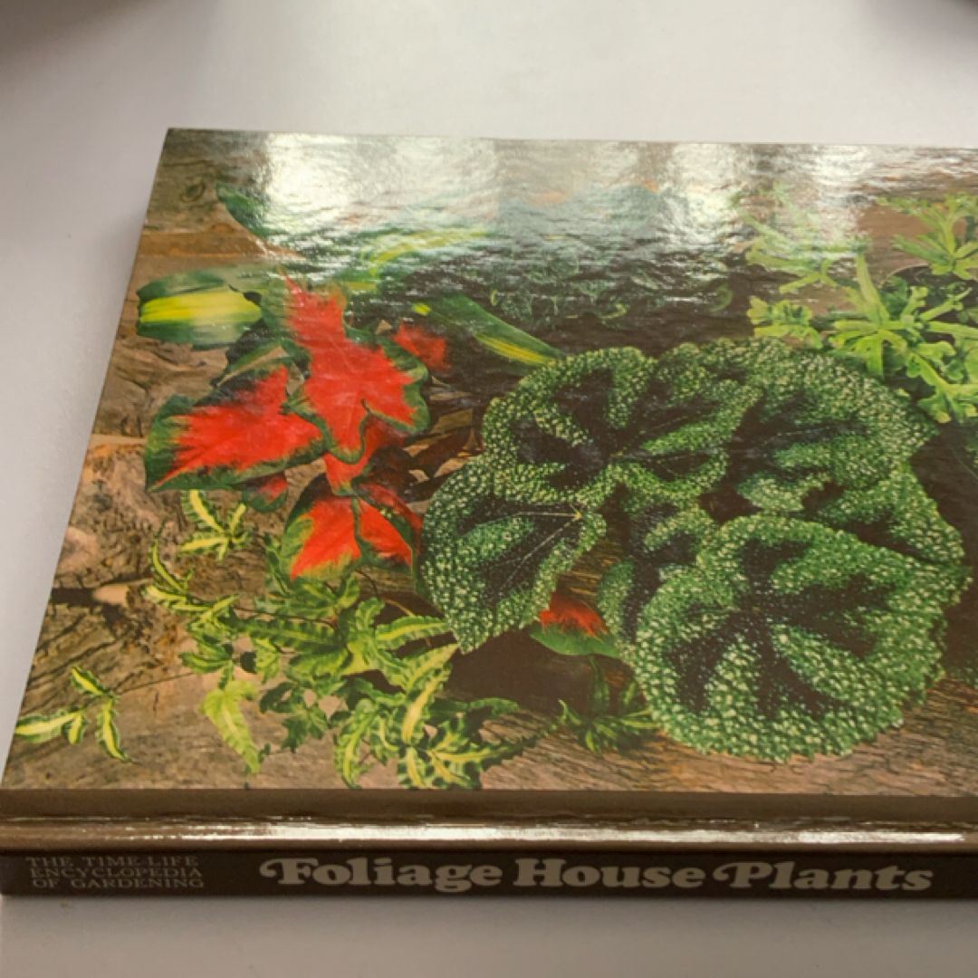 Foliage House Plants