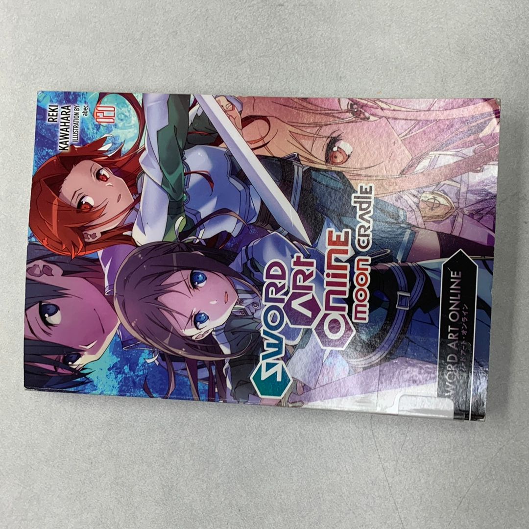 Sword Art Online 20 (light Novel)