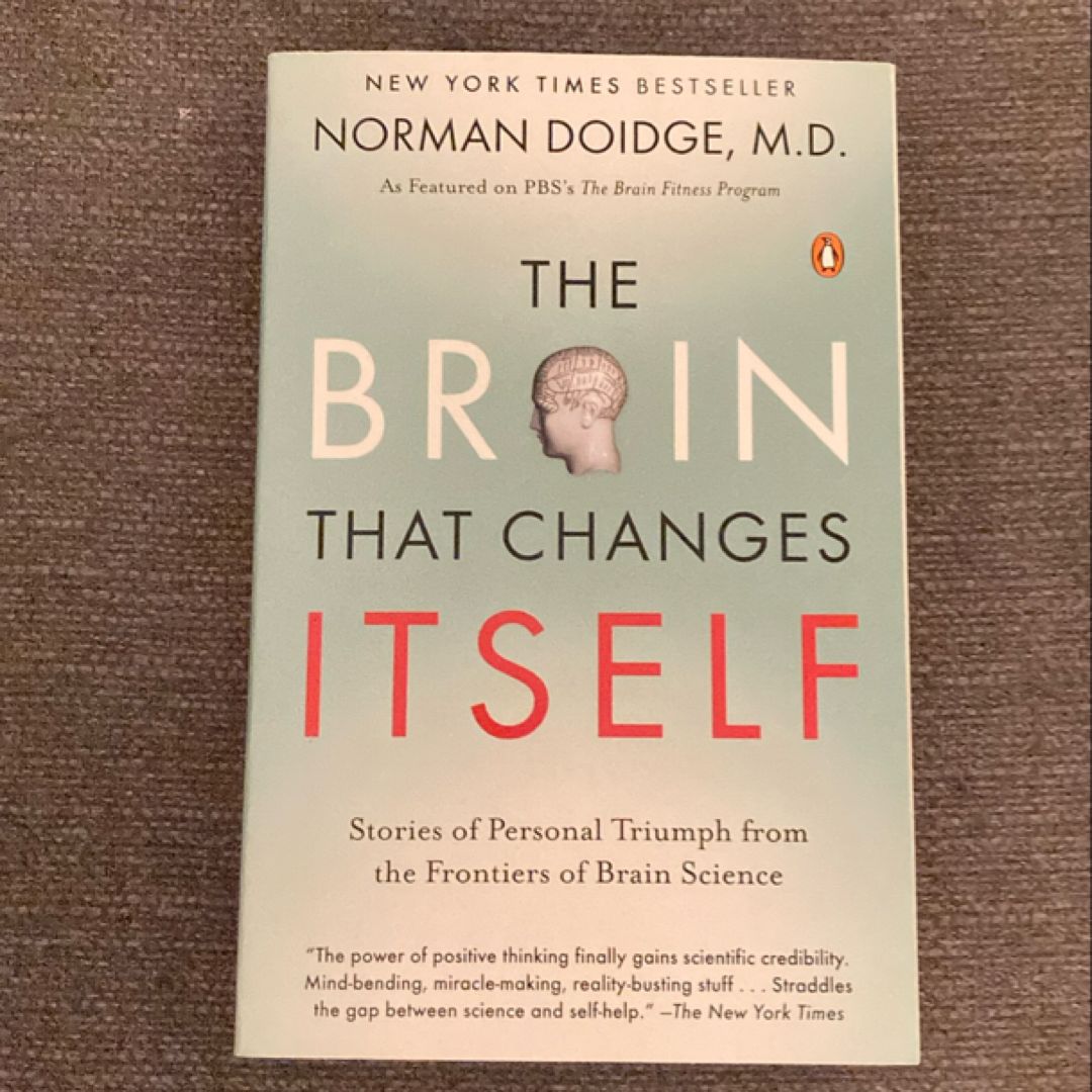 The Brain That Changes Itself