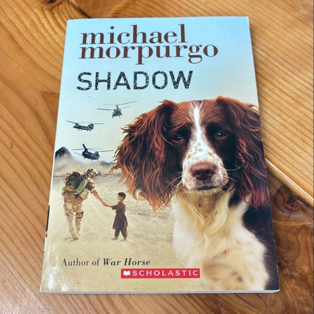 Shadow