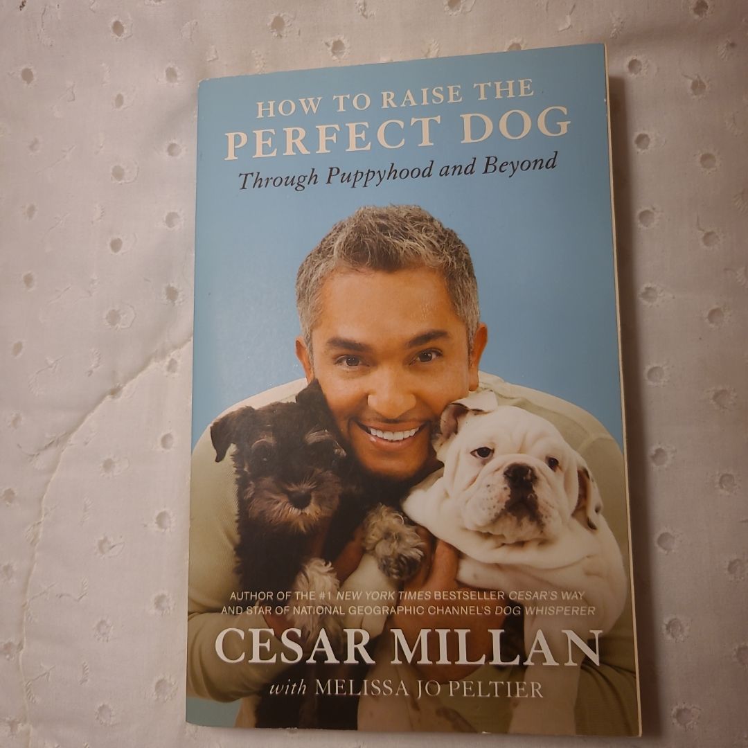 How to Raise the Perfect Dog