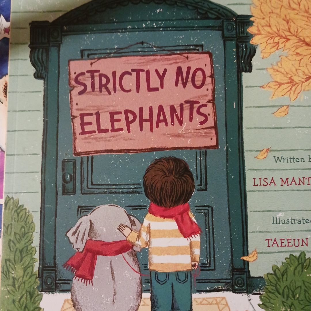 Strictly No Elephants