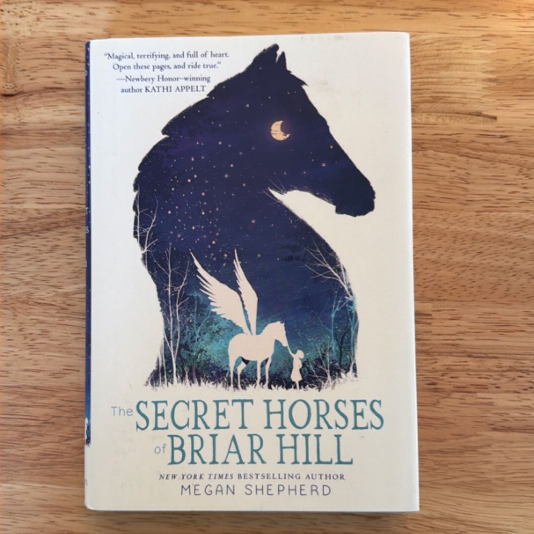 The Secret Horses of Briar Hill