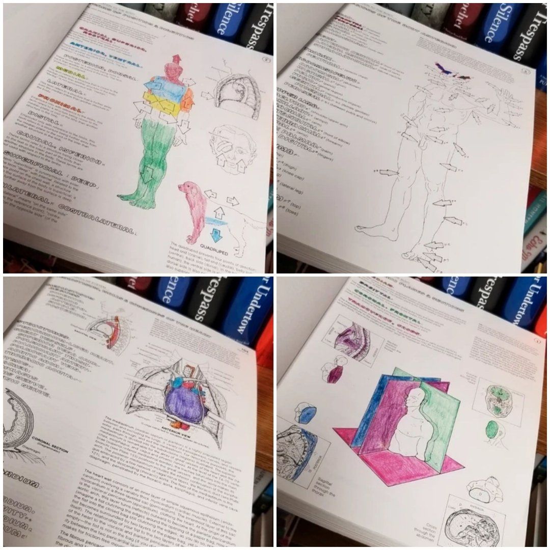 The Anatomy Coloring Book