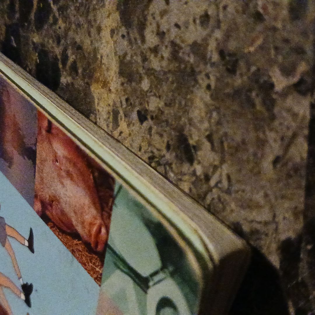 M. T. V. Beavis and Butthead's Ensucklopedia