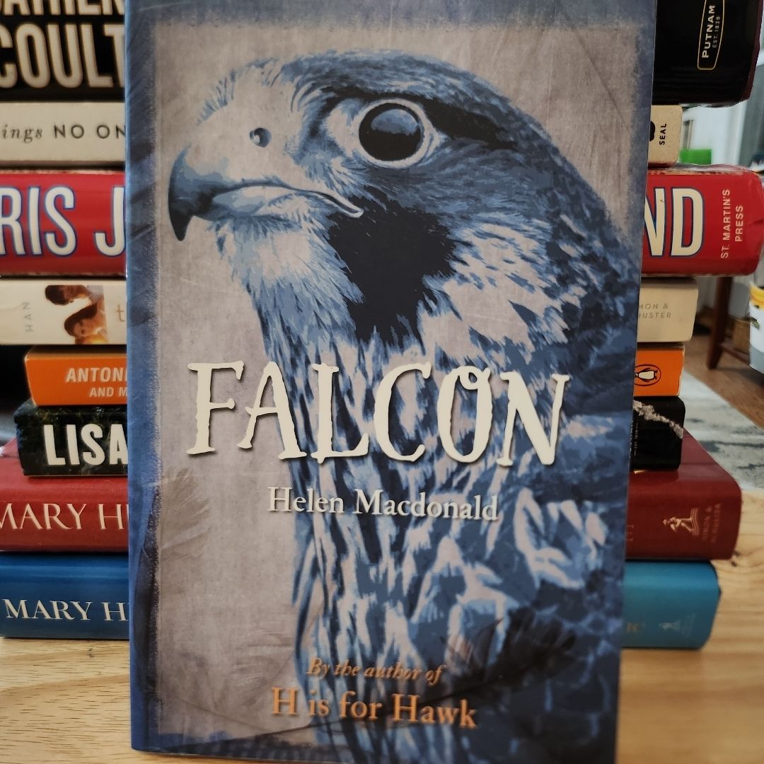 Falcon