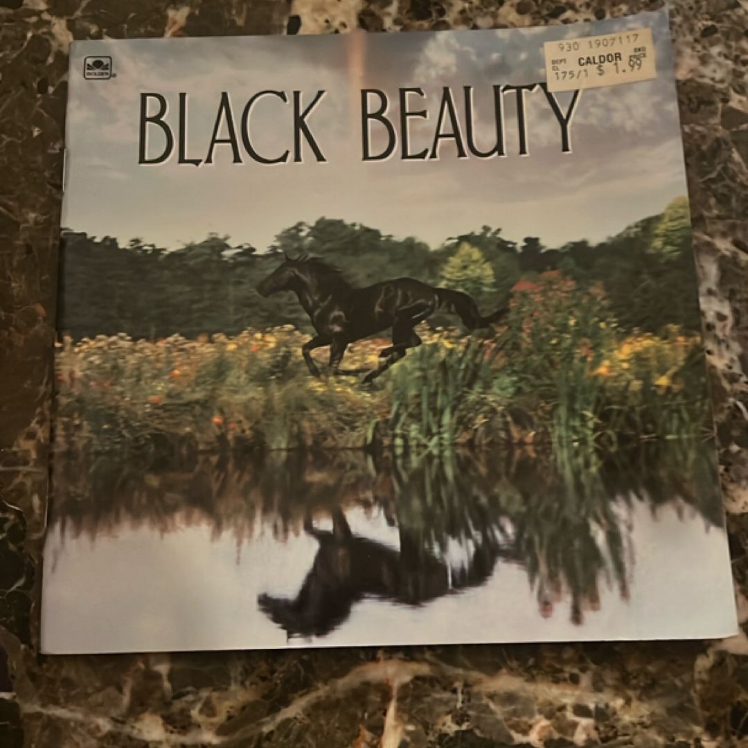 Black Beauty