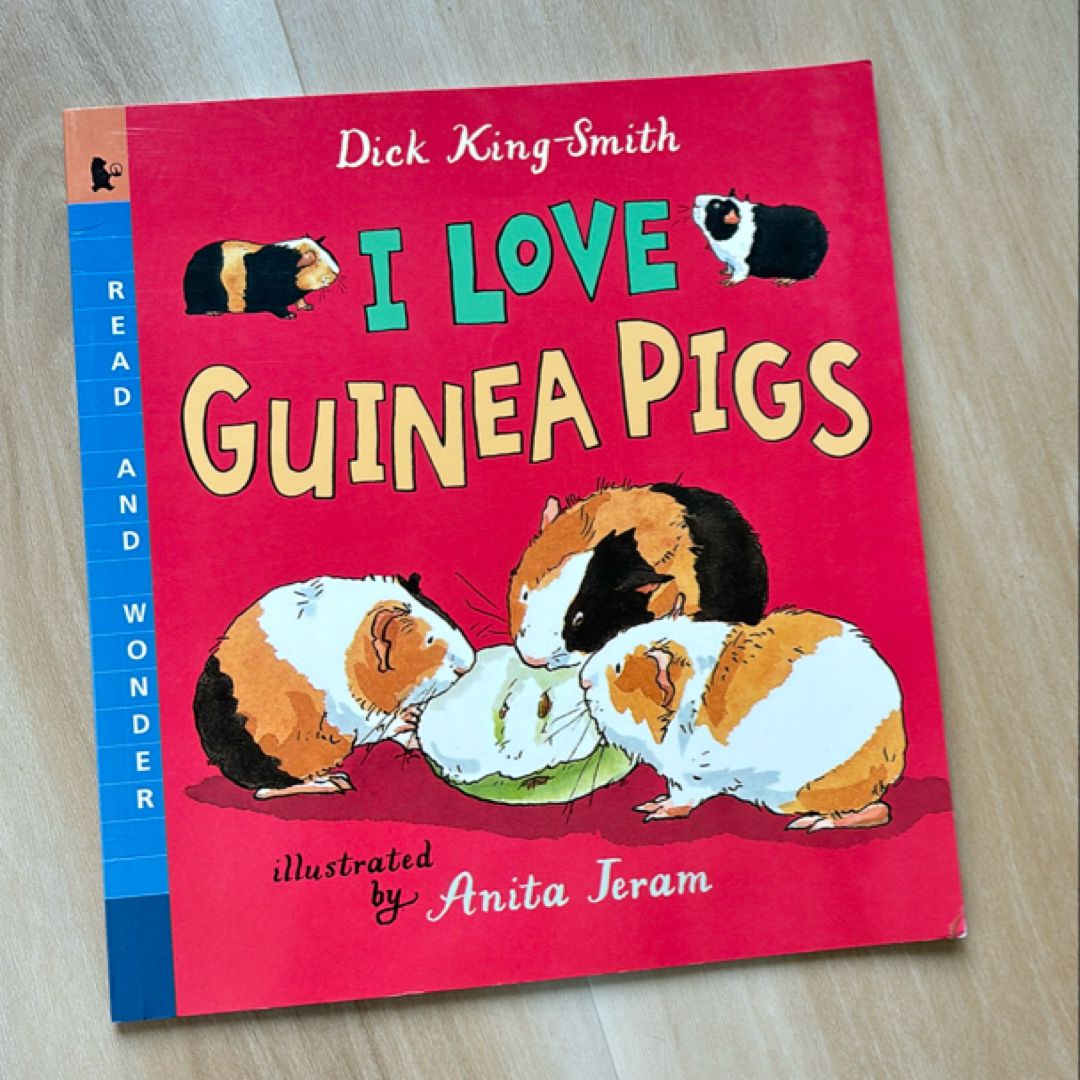 I Love Guinea Pigs