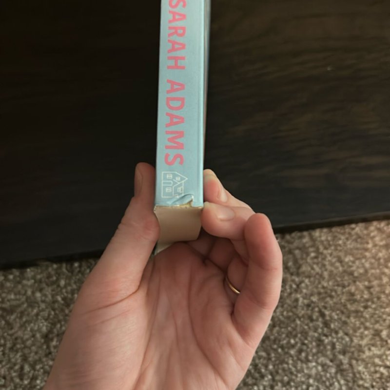 The Temporary Roomie