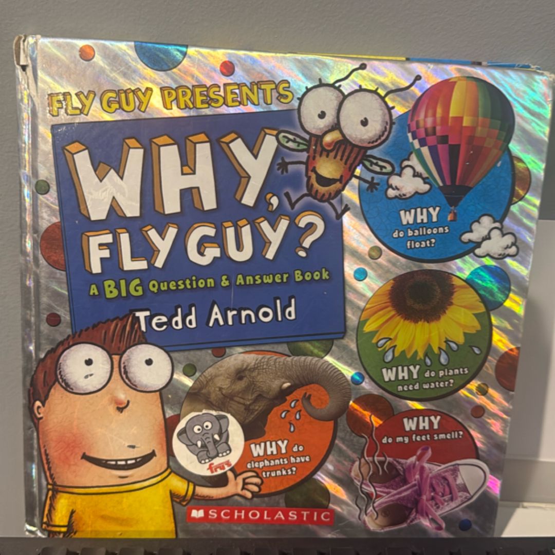 Why, Fly Guy?