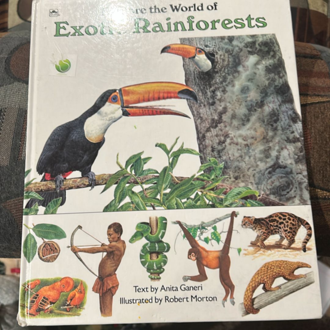 Explore the World of Exotic Rainforests