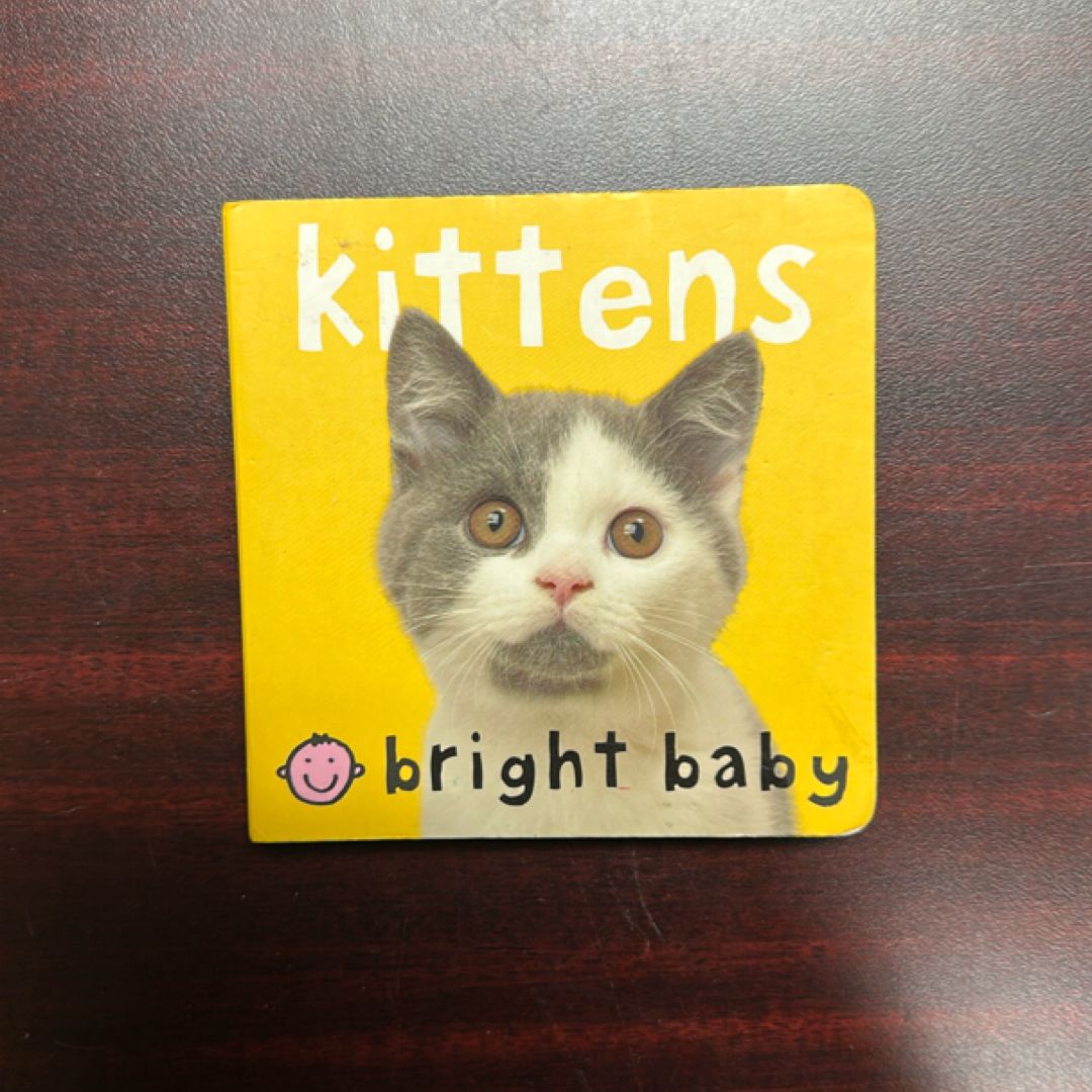 Bright Baby Board Kittens