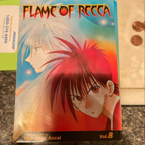 Flame of Recca, Vol. 8