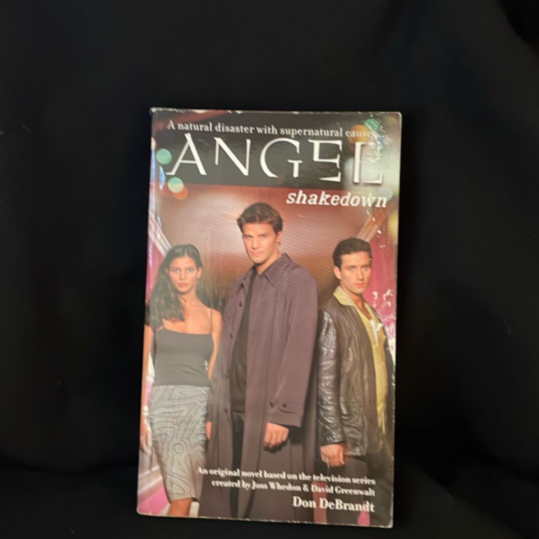 Angel: Shakedown