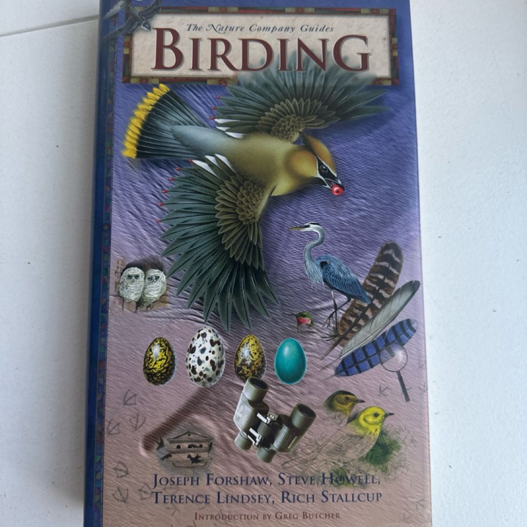 Birding