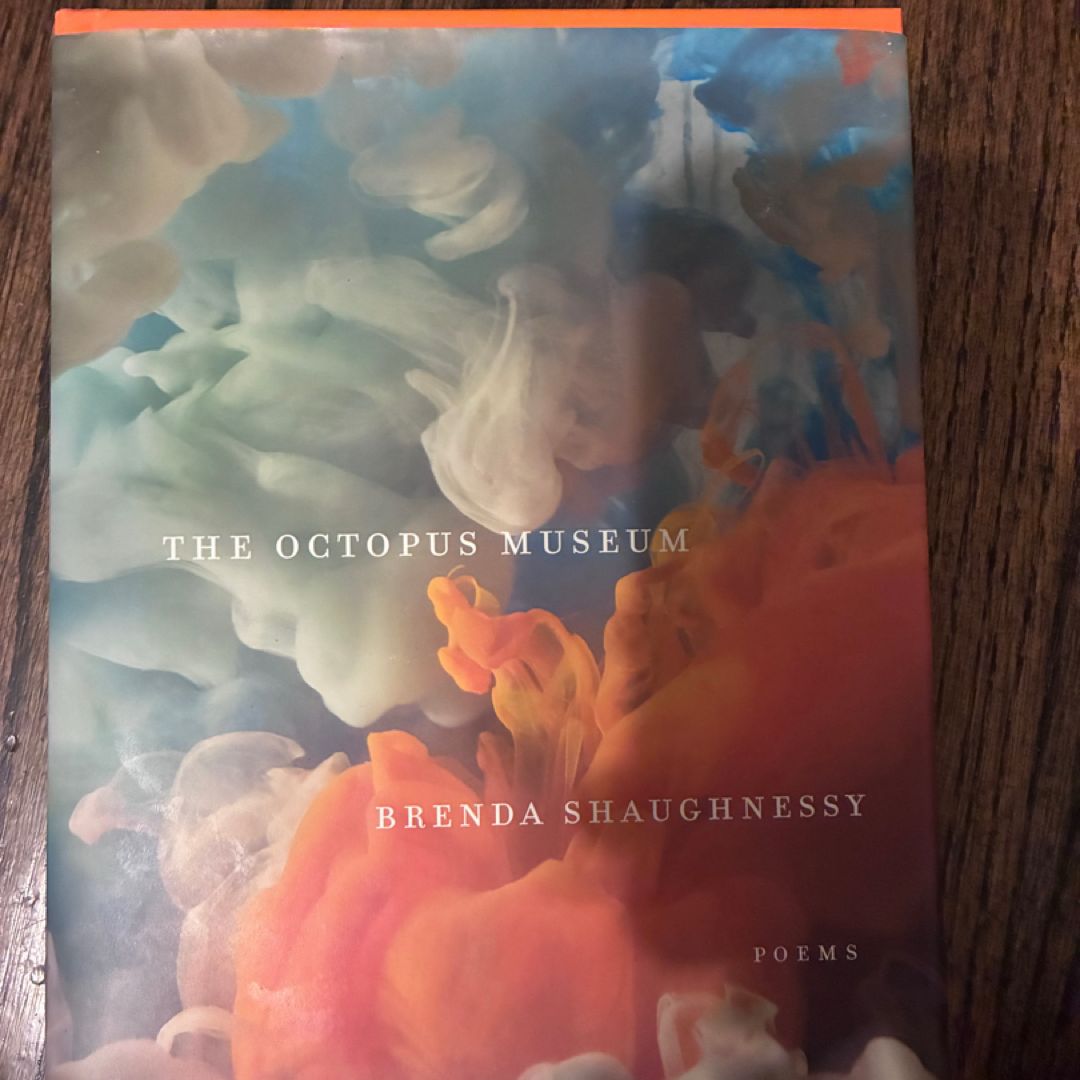 The Octopus Museum