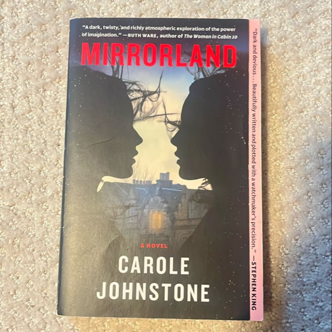 Mirrorland