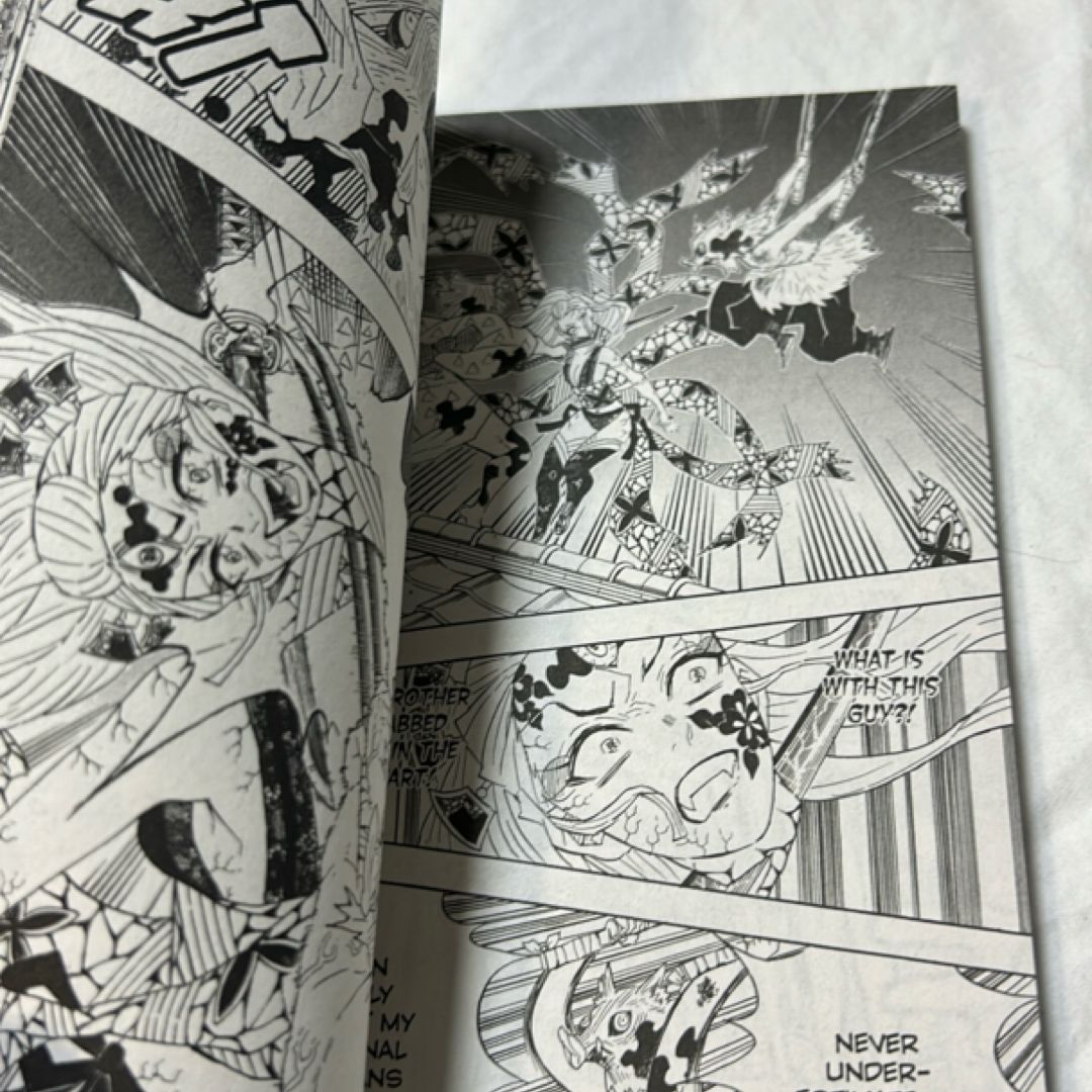 Demon Slayer: Kimetsu No Yaiba, Vol. 11