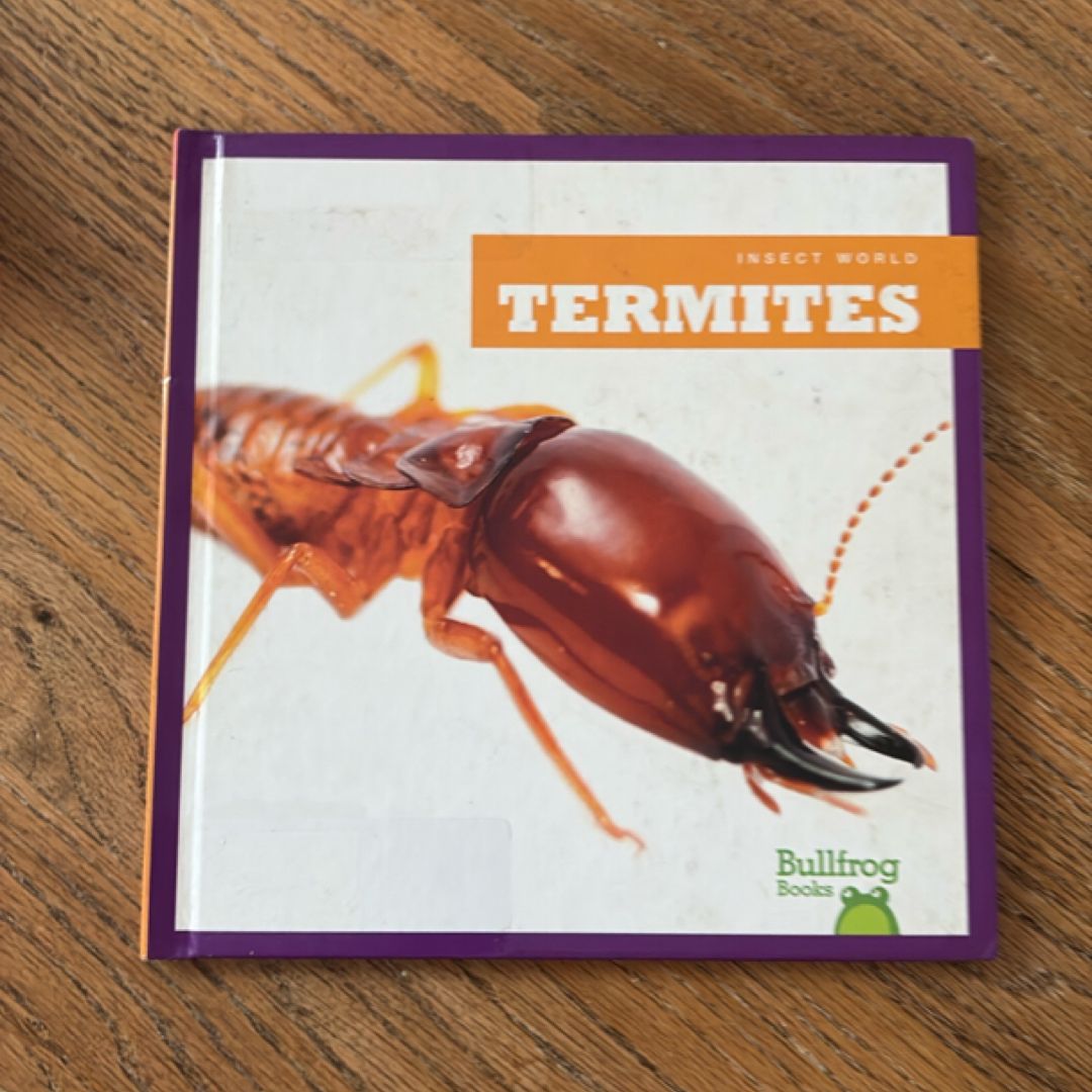 Termites