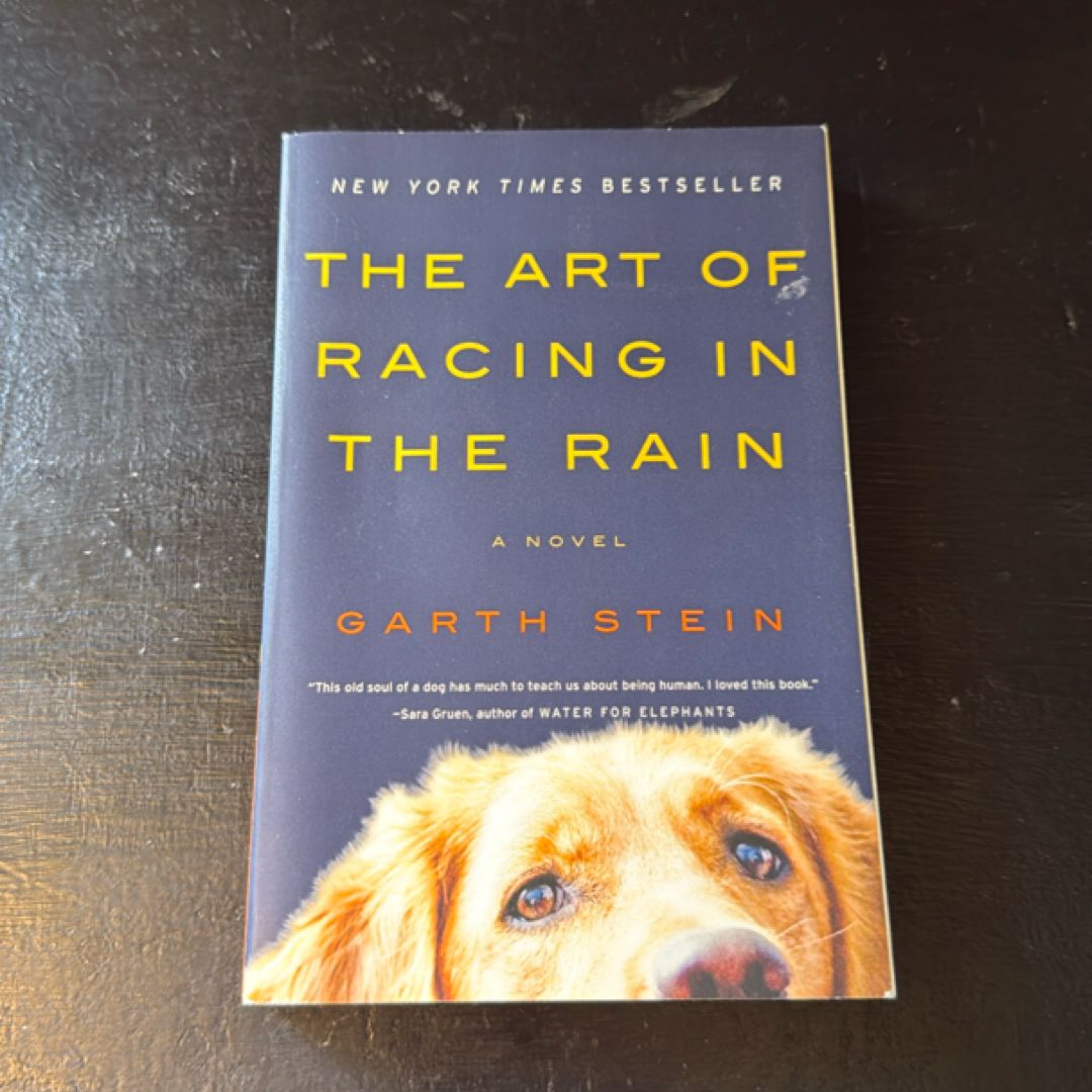 The Art of Racing in the Rain