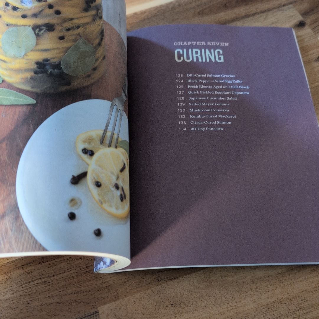 The Complete Book of Salt Block Cooking by Ryan Childs