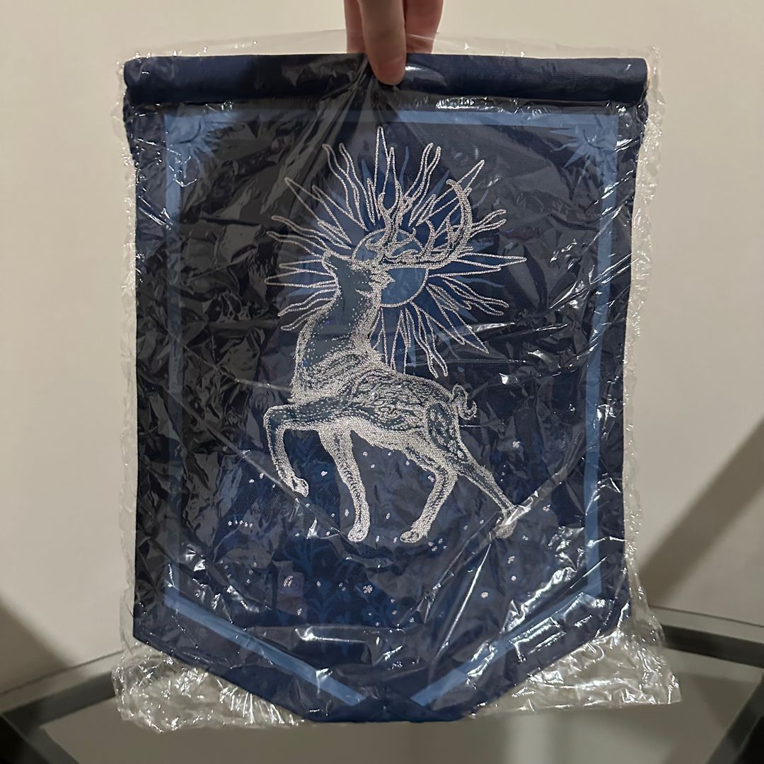 Assassin's Apprentice