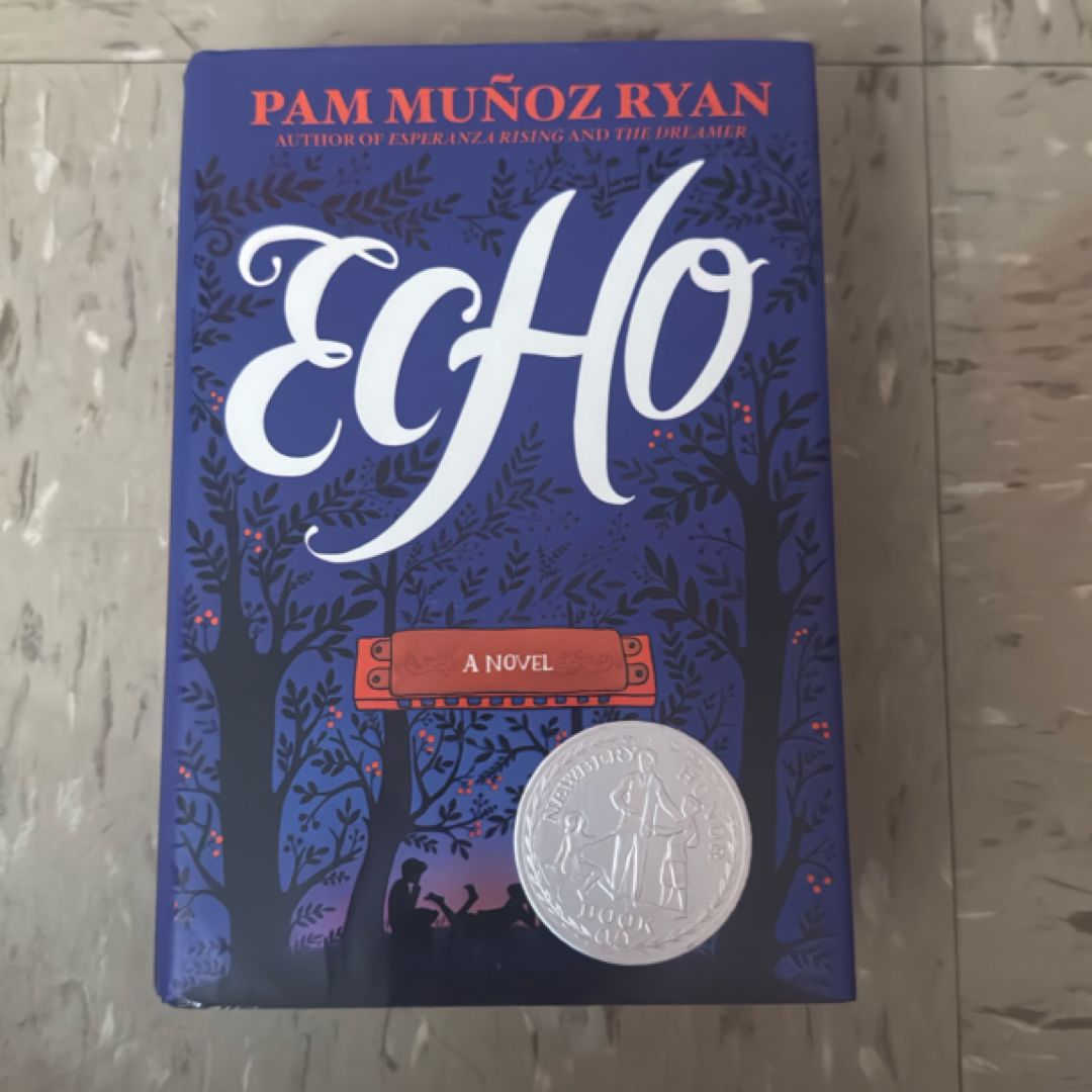 Echo