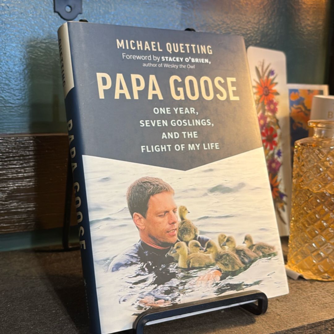 Papa Goose by Michael Quetting, Stacey O'Brien, Jane Billinghurst