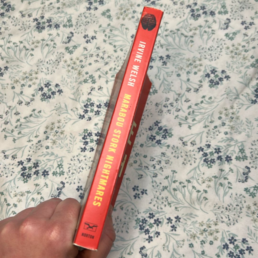 Marabou Stork Nightmares