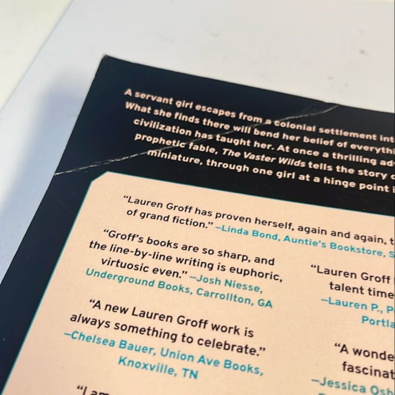 The Vaster Wilds (ARC) 