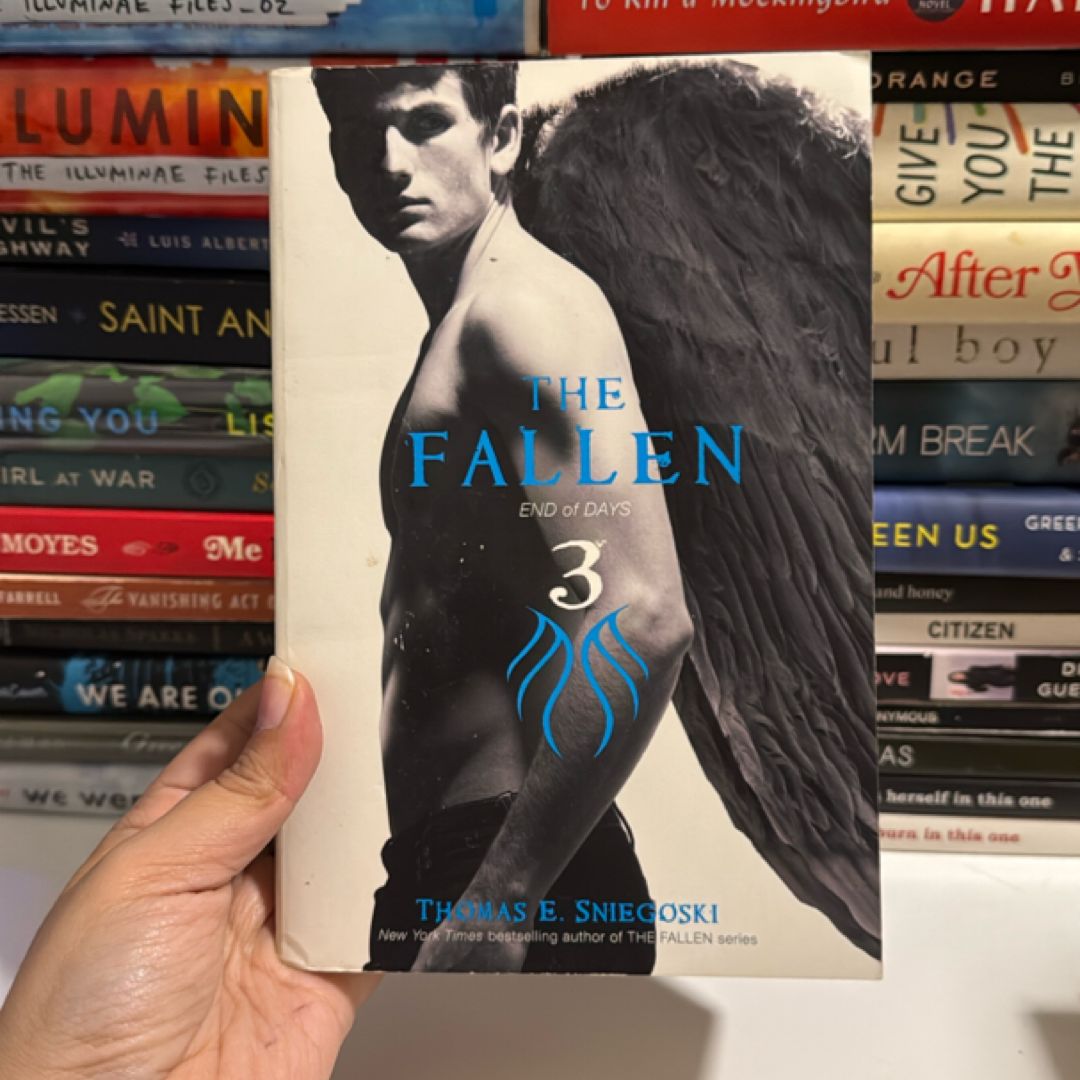 The Fallen 3