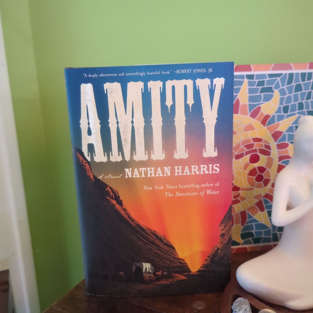 Amity (Hardcover)