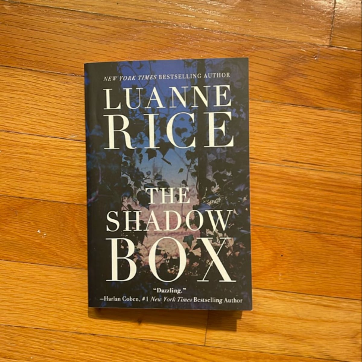 The Shadow Box by Luanne Rice