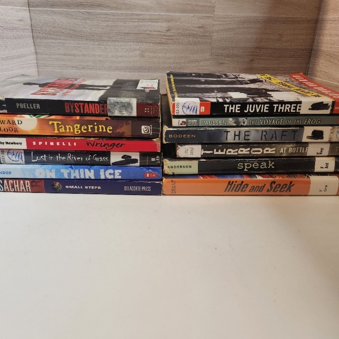 YA Realistic Fiction bundle- 12 books