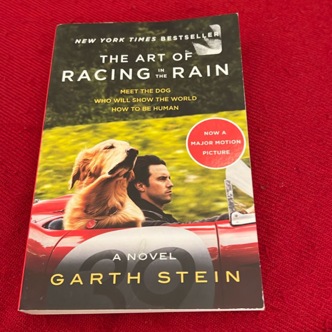 The Art of Racing in the Rain Tie-In