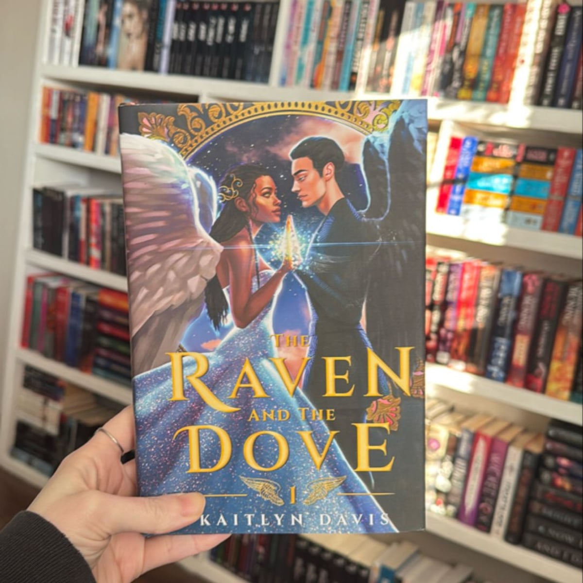 The Raven and the Dove by Kaitlyn Davis