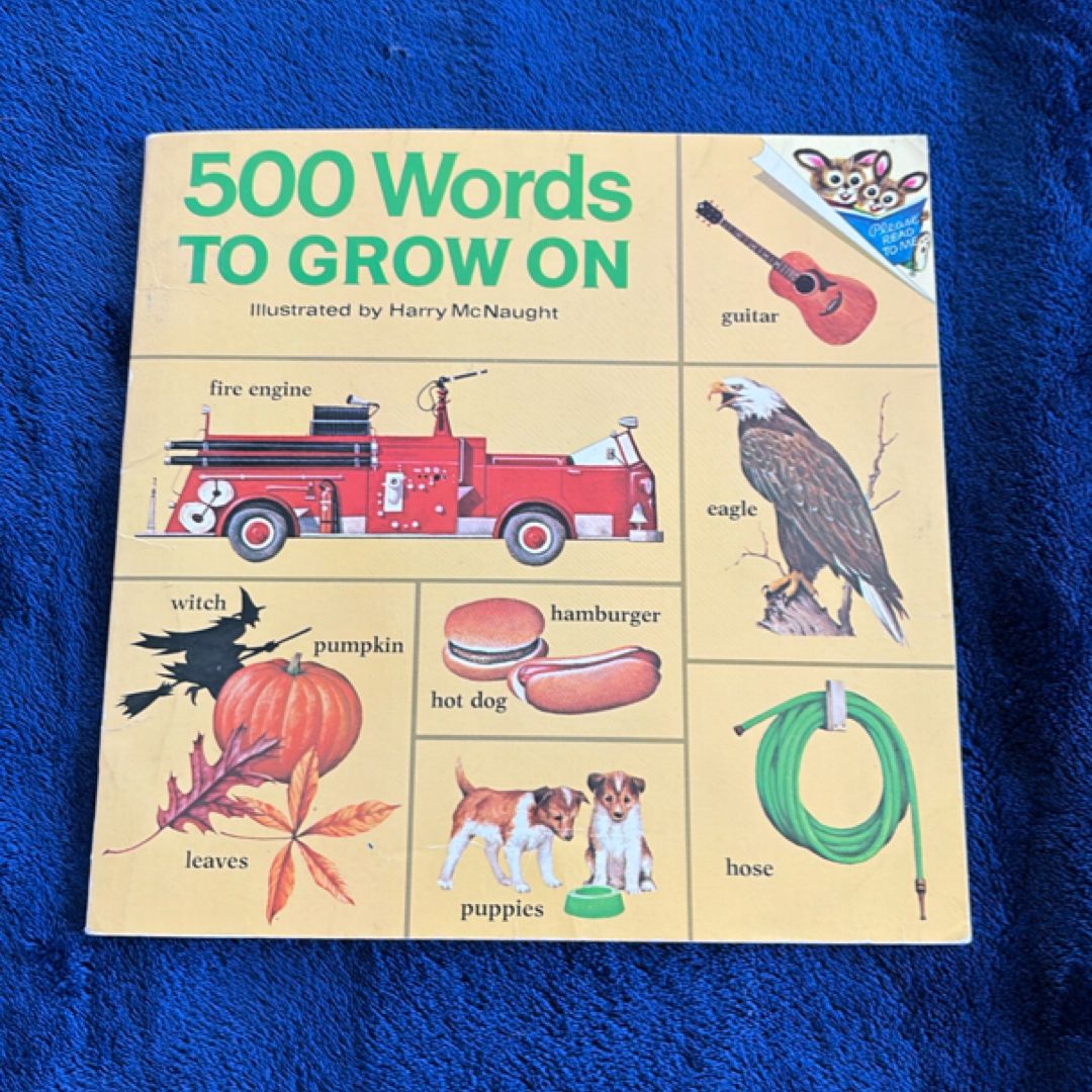 500 Words to Grow On | 1973 Vintage Kids Picture Word Book