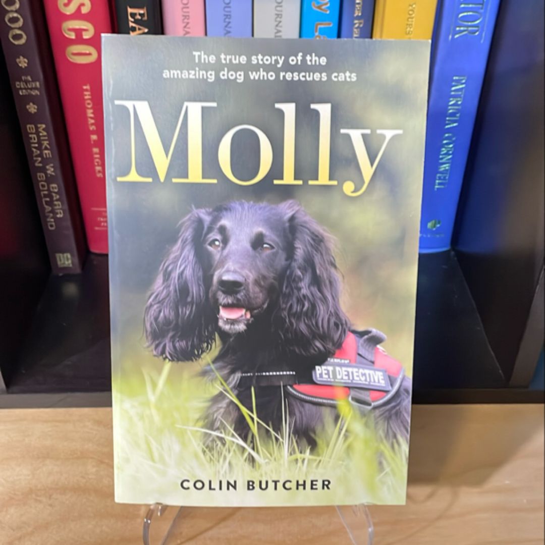 Molly: the True Story of the Amazing Dog Who Rescues Cats