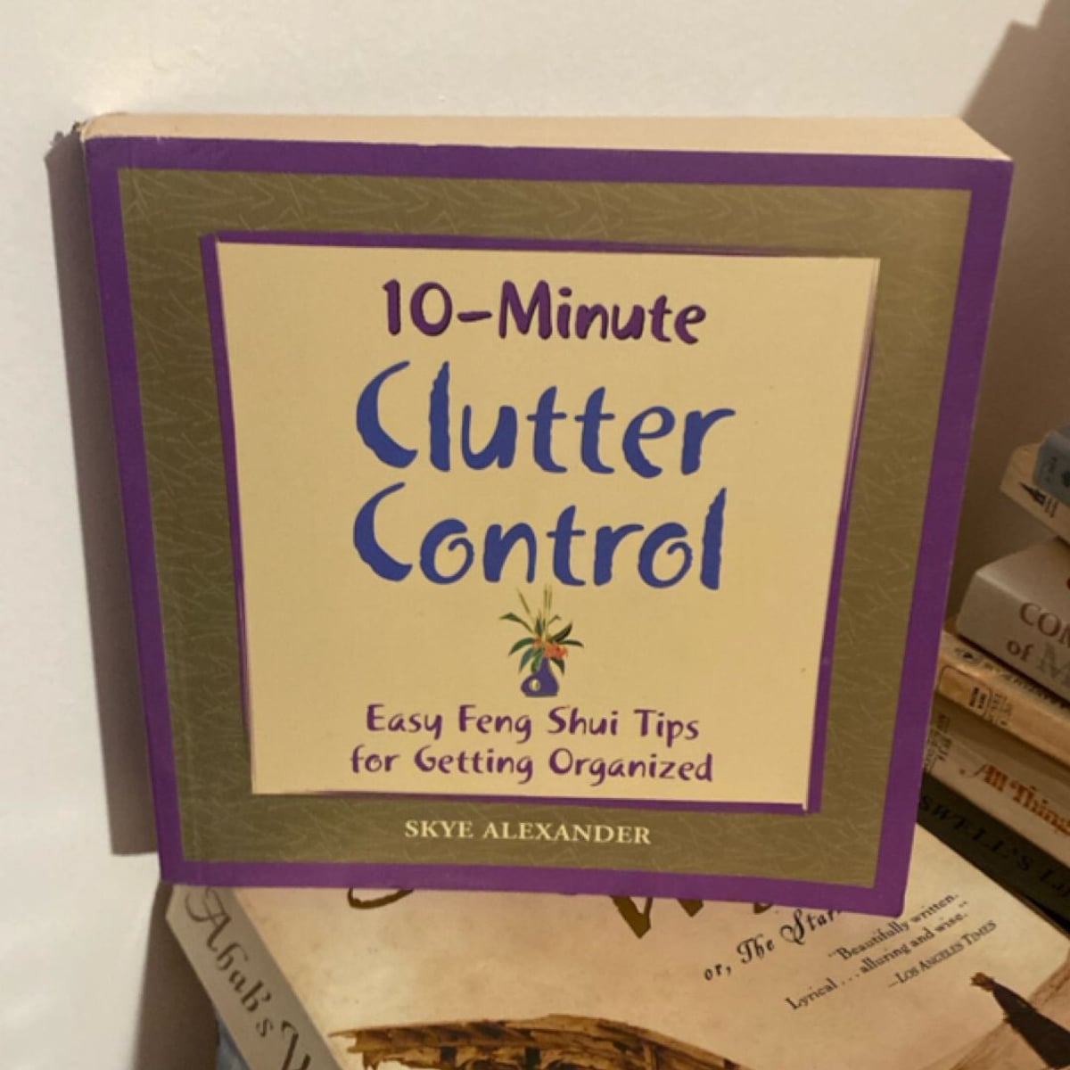 Clutter Control by Skye Alexander