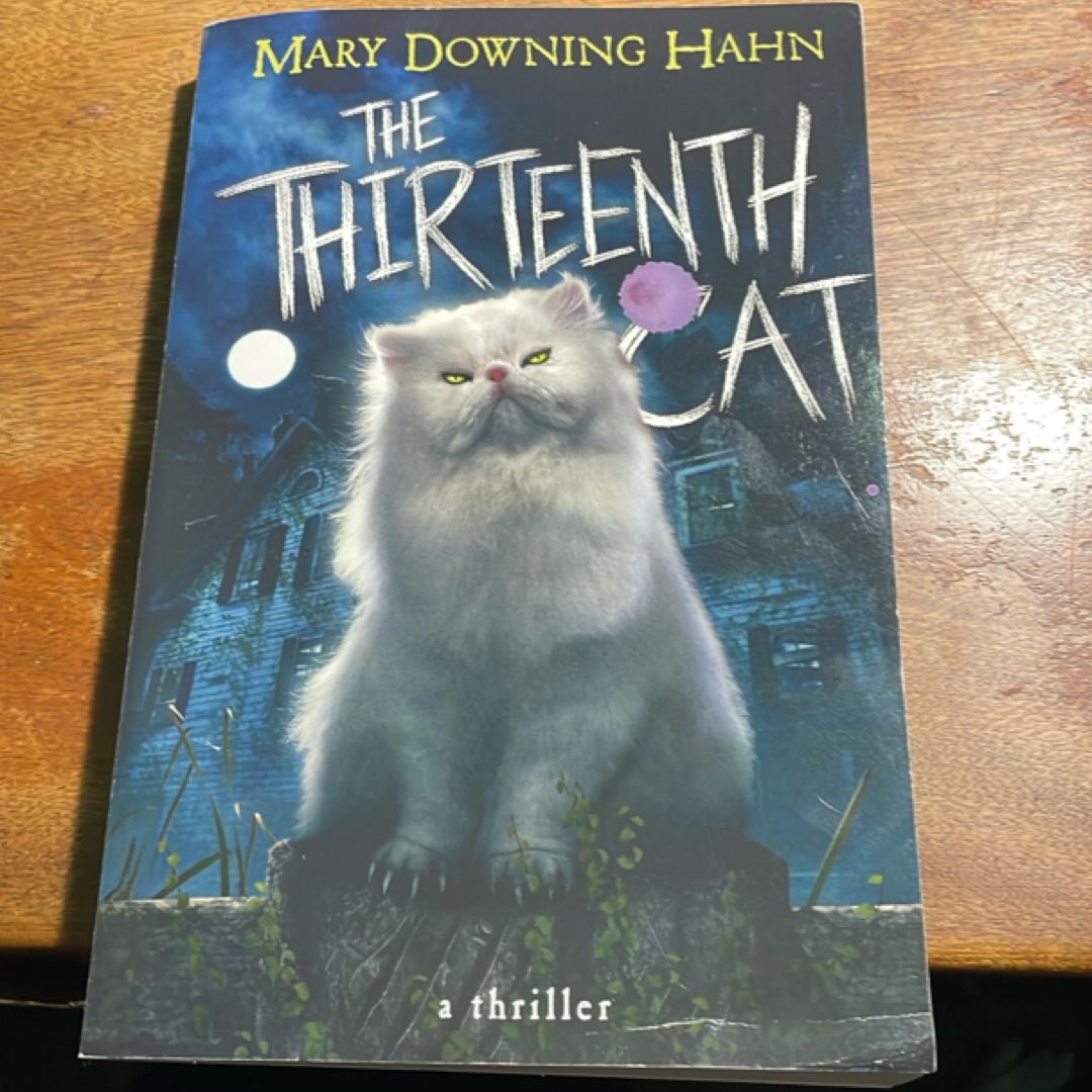 The Thirteenth Cat