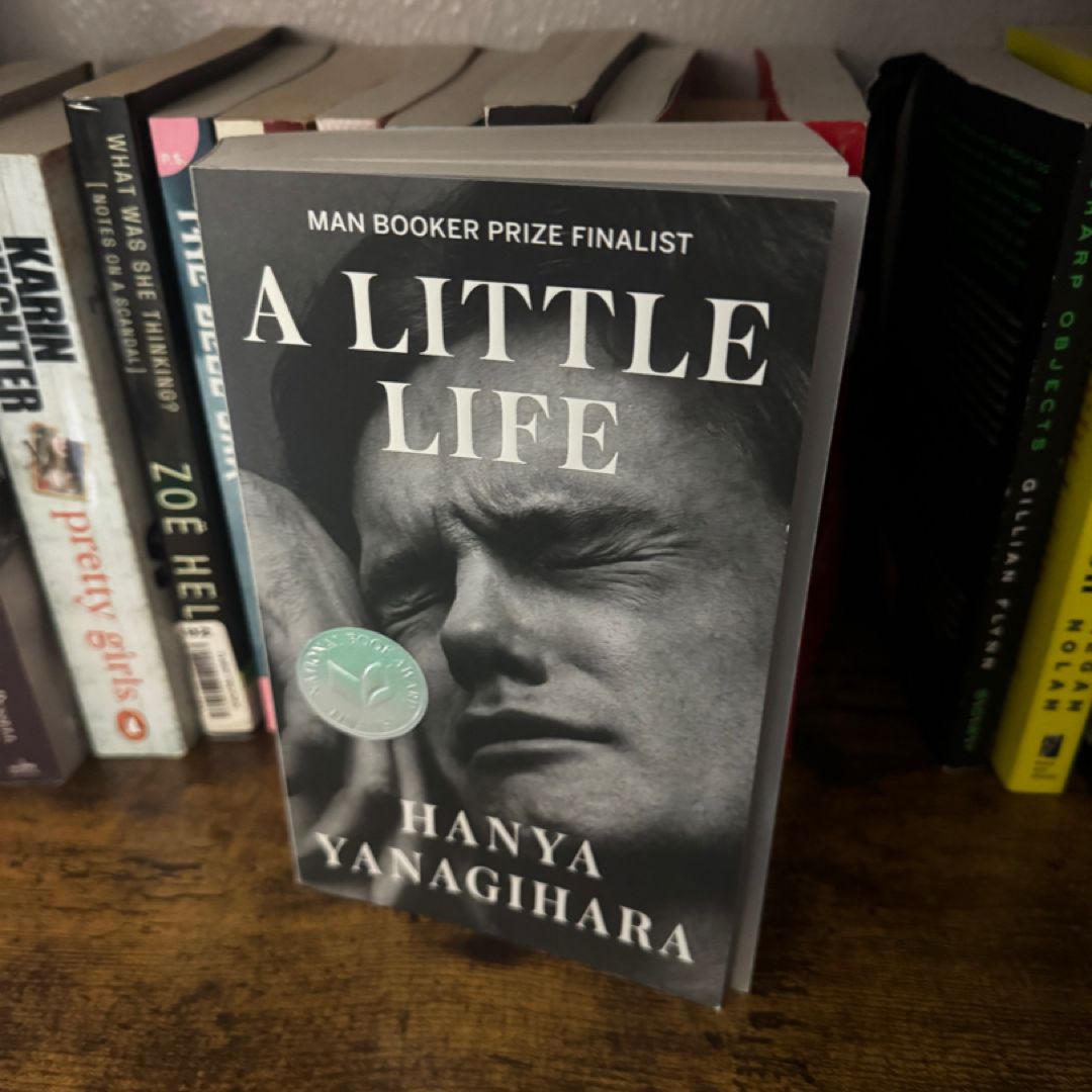 A Little Life