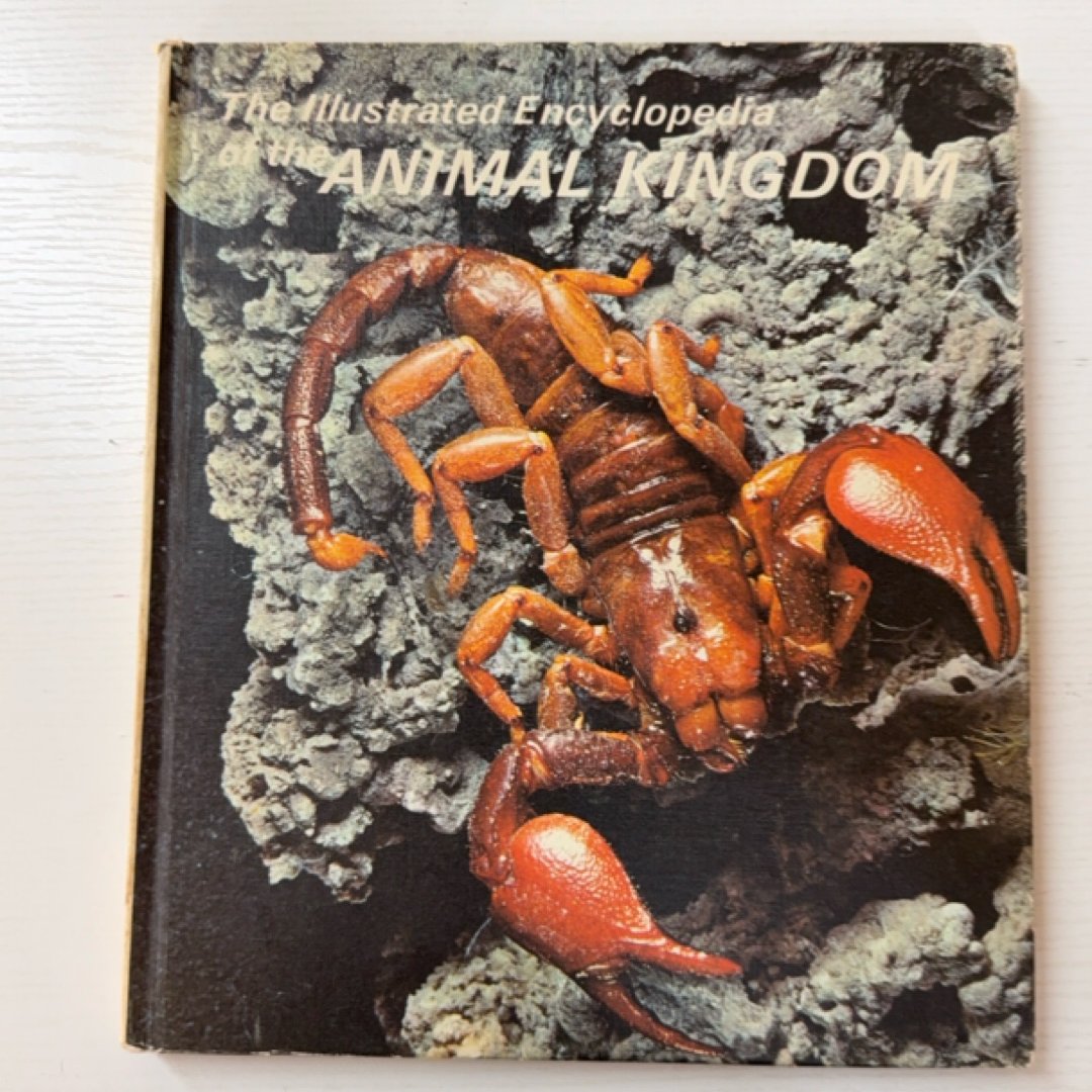 The Illuatrated Encyclopedia of the Animal Kingdom