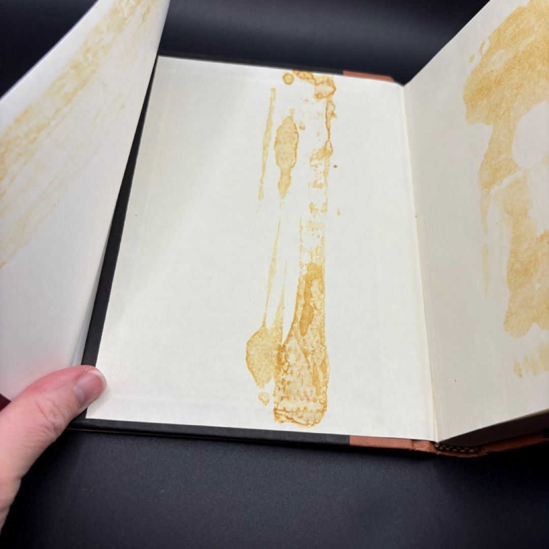 Paris in the Twentieth Century