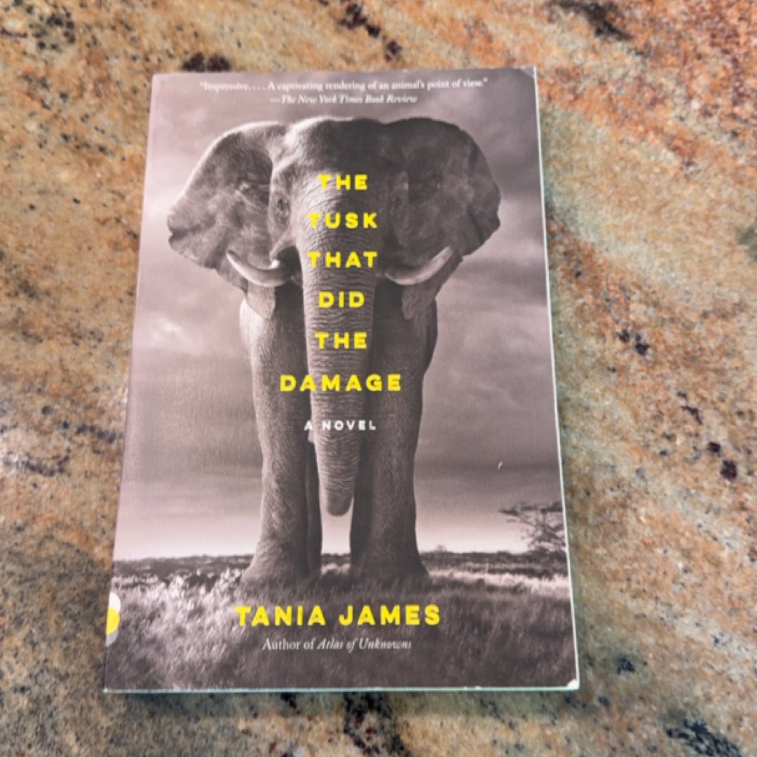 The Tusk That Did the Damage