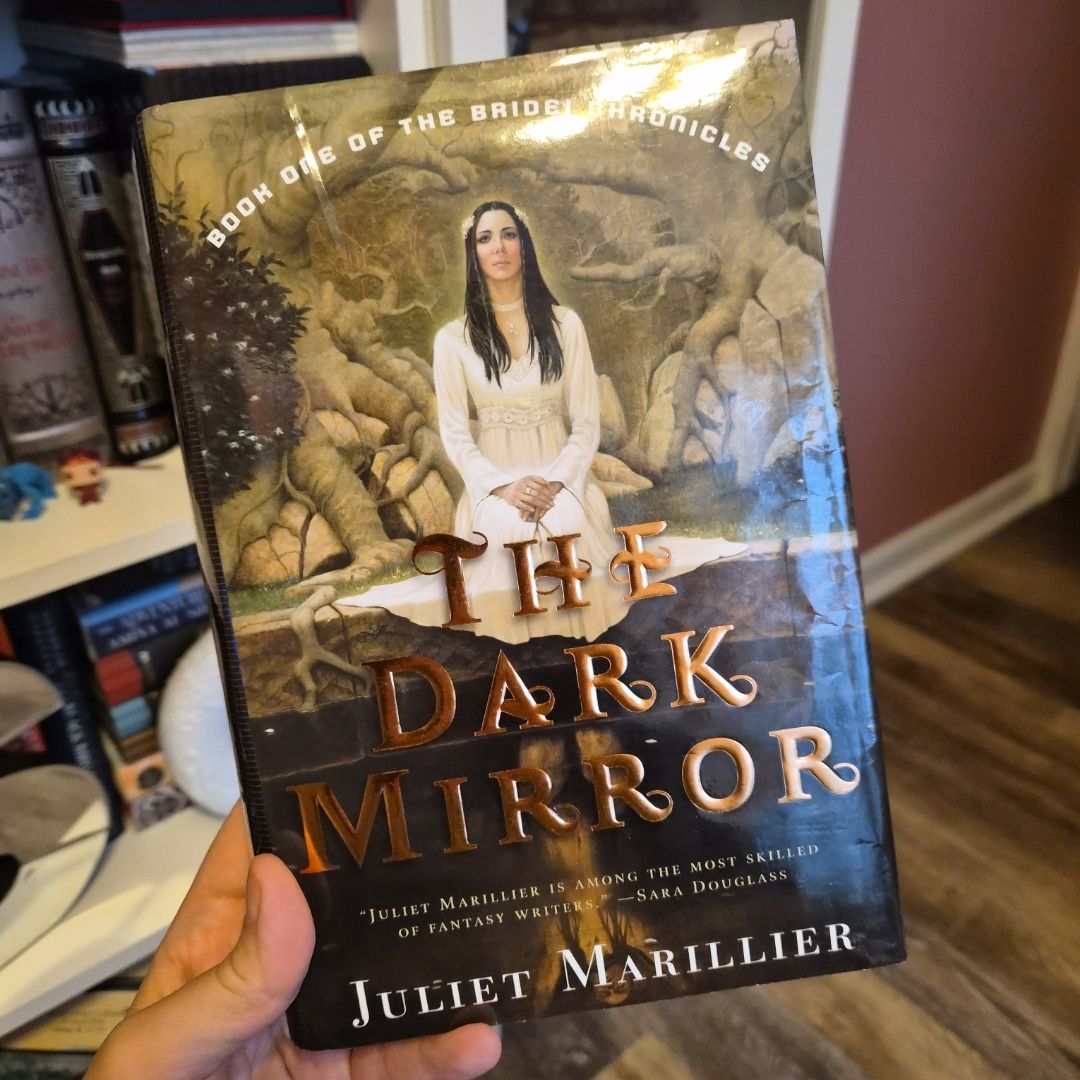 The Dark Mirror