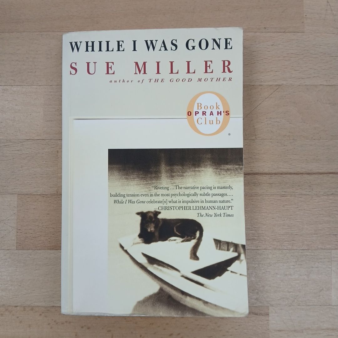 While I Was Gone