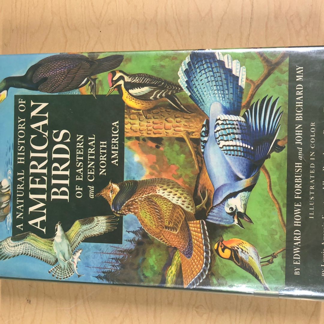 A Natural History of American Birds